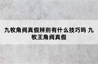 九牧角阀真假辨别有什么技巧吗 九牧王角阀真假